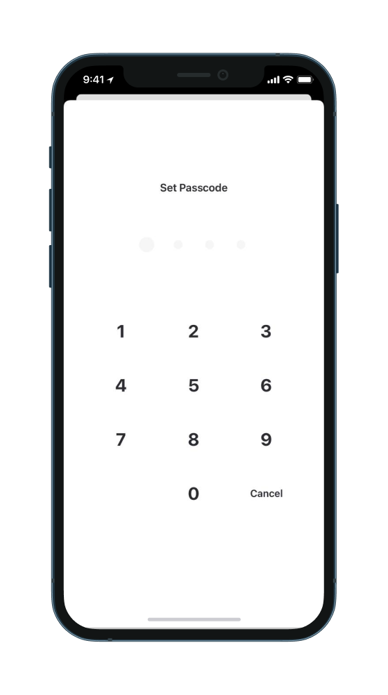 Protect Wallet (Setup Passcode, Backup Key Phrase + Key Prase